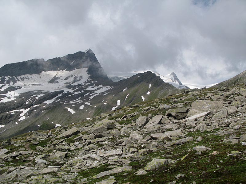 wildenkogel